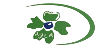 Rosin Import Export Company Ltd